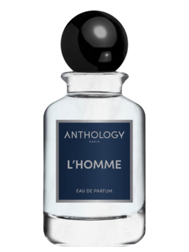 عطر ادکلن لوم آنتولوژی - L'Homme Anthology - بررسی، قیمت و خرید