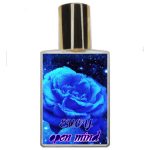 عطر ادکلن اوپن مایند ایووی - Open Mind EVOY - بررسی، قیمت و خرید