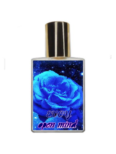 عطر ادکلن اوپن مایند ایووی - Open Mind EVOY - بررسی، قیمت و خرید