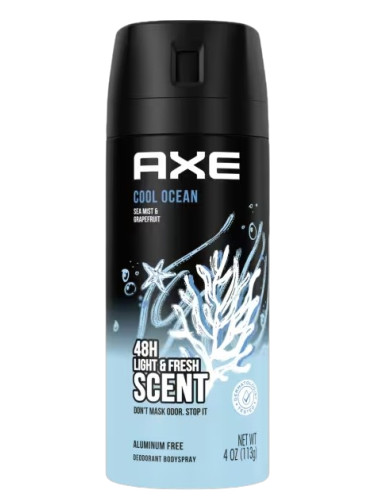 عطر ادکلن کول اوشن اکس - Cool Ocean AXE - بررسی، قیمت و خرید
