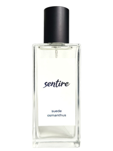 عطر ادکلن سوئد عثمانتوس سنتایر - Suede Osmanthus Sentire - بررسی، قیمت و خرید