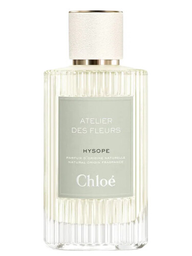 عطر ادکلن هیسوپ کلوئه - Hysope Chloé - بررسی، قیمت و خرید