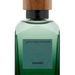 عطر ادکلن بامبو دوهزار و بیست و چهار آدولفو دومینگز - Bambú 2024 Adolfo Dominguez - بررسی، قیمت و خرید