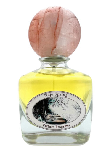 عطر ادکلن ناجو اسپرینگ پکتورا فراگرنس - Naju Spring Pictura Fragrans - بررسی، قیمت و خرید