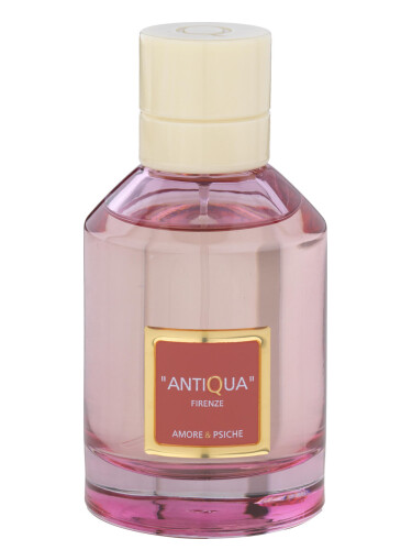 عطر ادکلن آموره و سیکه آنتیکوا فیرنزه - Amore & Psiche Antiqua Firenze - بررسی، قیمت و خرید