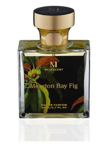 عطر ادکلن مورِتون بِی فیگ متاسنت - Moreton Bay Fig MetaScent - بررسی، قیمت و خرید
