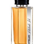 عطر ادکلن پچولی اینک مون‌بلان - Patchouli Ink Montblanc - بررسی، قیمت و خرید