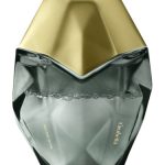 عطر ادکلن سالتد میوز اوربلا - Salted Muse Orebella - بررسی، قیمت و خرید