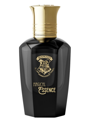 عطر ادکلن امبیشن هری پاتر - Ambition Harry Potter - بررسی، قیمت و خرید