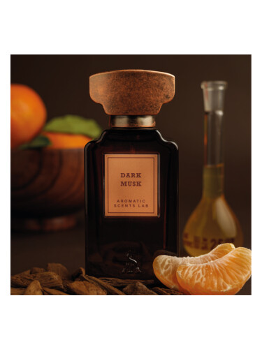 عطر ادکلن دارک ماسک آروماتیک سنتس لب - Dark Musk Aromatic Scents Lab - بررسی، قیمت و خرید