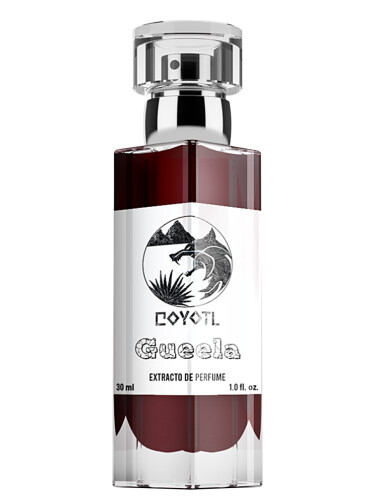عطر ادکلن گیلا کایوتل - Gueela Coyotl - بررسی، قیمت و خرید