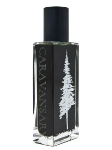 عطر ادکلن کاروانسرا پاین‌وارد پرفیومز - Caravansary Pineward Perfumes - بررسی، قیمت و خرید