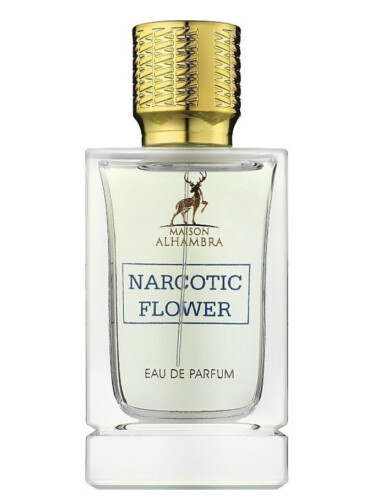عطر ادکلن نارکاتیک فلاور میسون الهامبرا - Narcotic Flower Maison Alhambra - بررسی، قیمت و خرید