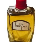 عطر ادکلن کاپریز سیورنویه سیانیه - Каприз Северное сияние - بررسی، قیمت و خرید