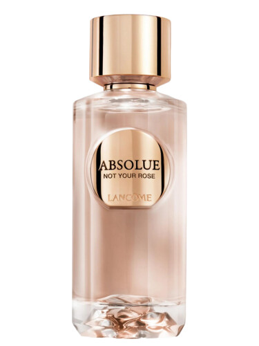 عطر ادکلن ابسولو نات یور رز لانکوم - Absolue Not Your Rose Lancôme - بررسی، قیمت و خرید