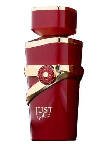 عطر ادکلن جاست انابی فریگرنس ورد - Just Anabi Fragrance World - بررسی، قیمت و خرید