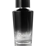 عطر ادکلن کندیز بلک کندیز - Candie's Black Candie's - بررسی، قیمت و خرید