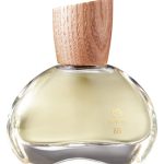 عطر ادکلن اِیت سونتی فایو وِتیوِر کاپیتیِو ناتورا - 875 Vetiver Capitiú Natura - بررسی، قیمت و خرید
