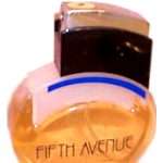عطر ادکلن فیفث اَوِنیو ایون - 5th Avenue Avon - بررسی، قیمت و خرید