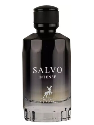 عطر ادکلن سالوو اینتنس میسون الهمبرا - Salvo Intense Maison Alhambra - بررسی، قیمت و خرید