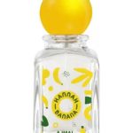 عطر ادکلن هنا بَنا اجمل - Hannah Banana Ajmal - بررسی، قیمت و خرید