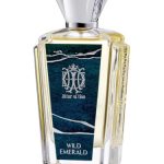 عطر ادکلن امرالد وایلدِرنِس عطار ال حاس - Emerald Wilderness Attar Al Has - بررسی، قیمت و خرید
