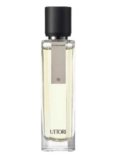 عطر ادکلن وینترسویت梅 اوتوری - Wintersweet 梅 Uttori 五朵里 - بررسی، قیمت و خرید