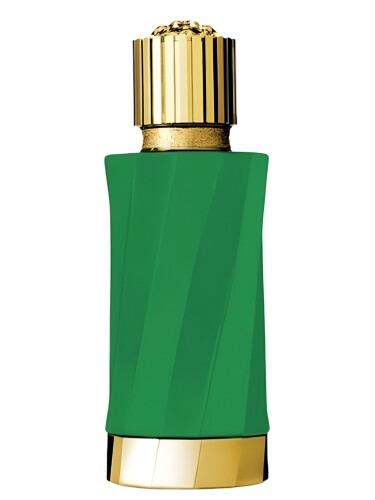 عطر ادکلن پاچولی پره‌سیو ورساچه - Patchouli Précieux Versace - بررسی، قیمت و خرید