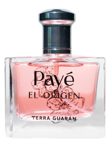 عطر ادکلن پی ال اوریجن ترا گواران - Payè El Origen Terra Guarán - بررسی، قیمت و خرید