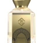 عطر ادکلن استارگیت بی پرفیوم - Stargate Bey Parfum - بررسی، قیمت و خرید