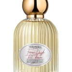 عطر ادکلن فرام داسک تیل دان بیبلیوتک د پرفیوم - From Dusk Till Dawn Bibliothèque de Parfum - بررسی، قیمت و خرید