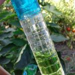 عطر ادکلن سیتی جانگل اوریفلیم - City Jungle Oriflame - بررسی، قیمت و خرید