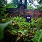 عطر ادکلن رُز او دو پرفیوم مولینارد - Rose Eau de Parfum Molinard - بررسی، قیمت و خرید