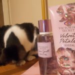 عطر ادکلن ولوت پتالز لا کرم ویکتوریا سیکرت - Velvet Petals La Crème Victoria's Secret - بررسی، قیمت و خرید