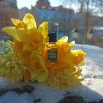 عطر ادکلن ملنا نارسيس دزینتارس - Melnā Narcise (Чёрный Нарцисс) Dzintars - بررسی، قیمت و خرید