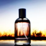 عطر ادکلن فورگت می نات ویکتورینوکس سوئیس آرمی - Forget Me Not Victorinox Swiss Army - بررسی، قیمت و خرید