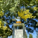 عطر ادکلن واکینگ آن ویا فیوری اسکوری ترساردی - Walking On Via Fiori Oscuri Trussardi - بررسی، قیمت و خرید
