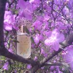 عطر ادکلن ریزیست پاسکال مورابیتو - Résiste ! Pascal Morabito - بررسی، قیمت و خرید