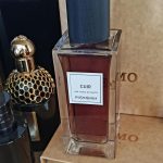 عطر ادکلن کویر ایو سن لوران - Cuir (2023) Yves Saint Laurent - بررسی، قیمت و خرید