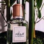 عطر ادکلن پولو ارث رالف لورن - Polo Earth Ralph Lauren - بررسی، قیمت و خرید