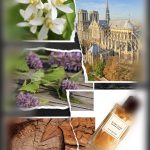 عطر ادکلن نوتردام میزون هریتیج - Notre Dame Maison Héritage - بررسی، قیمت و خرید