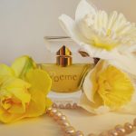 عطر ادکلن پوام لانکوم - Poeme Lancôme - بررسی، قیمت و خرید