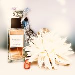 عطر ادکلن نوتردام میزون هریتیج - Notre Dame Maison Héritage - بررسی، قیمت و خرید