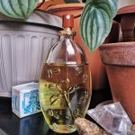 عطر ادکلن کافه کافه پرفیومز - Cafe Cafe Parfums - بررسی، قیمت و خرید