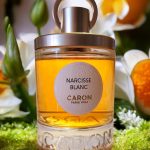 عطر ادکلن نارسیس بلانک کارِن - Narcisse Blanc (2021) Caron - بررسی، قیمت و خرید