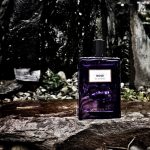 عطر ادکلن رُز او دو پرفیوم مولینارد - Rose Eau de Parfum Molinard - بررسی، قیمت و خرید
