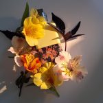 عطر ادکلن بیتِر اِسْپلَش دریس ون نوتن - Bitter Splash Dries Van Noten - بررسی، قیمت و خرید