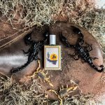 عطر ادکلن آنتِیمِبِل ایمجینری آتورز - Untamable Imaginary Authors - بررسی، قیمت و خرید