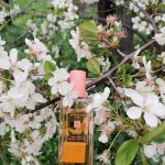 عطر ادکلن اُرنج بلاسِم کُلون جو مالون لاندن - Orange Blossom Cologne (2019) Jo Malone London - بررسی، قیمت و خرید