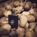 عطر ادکلن فیگمنت من آمواج - Figment Man Amouage - بررسی، قیمت و خرید